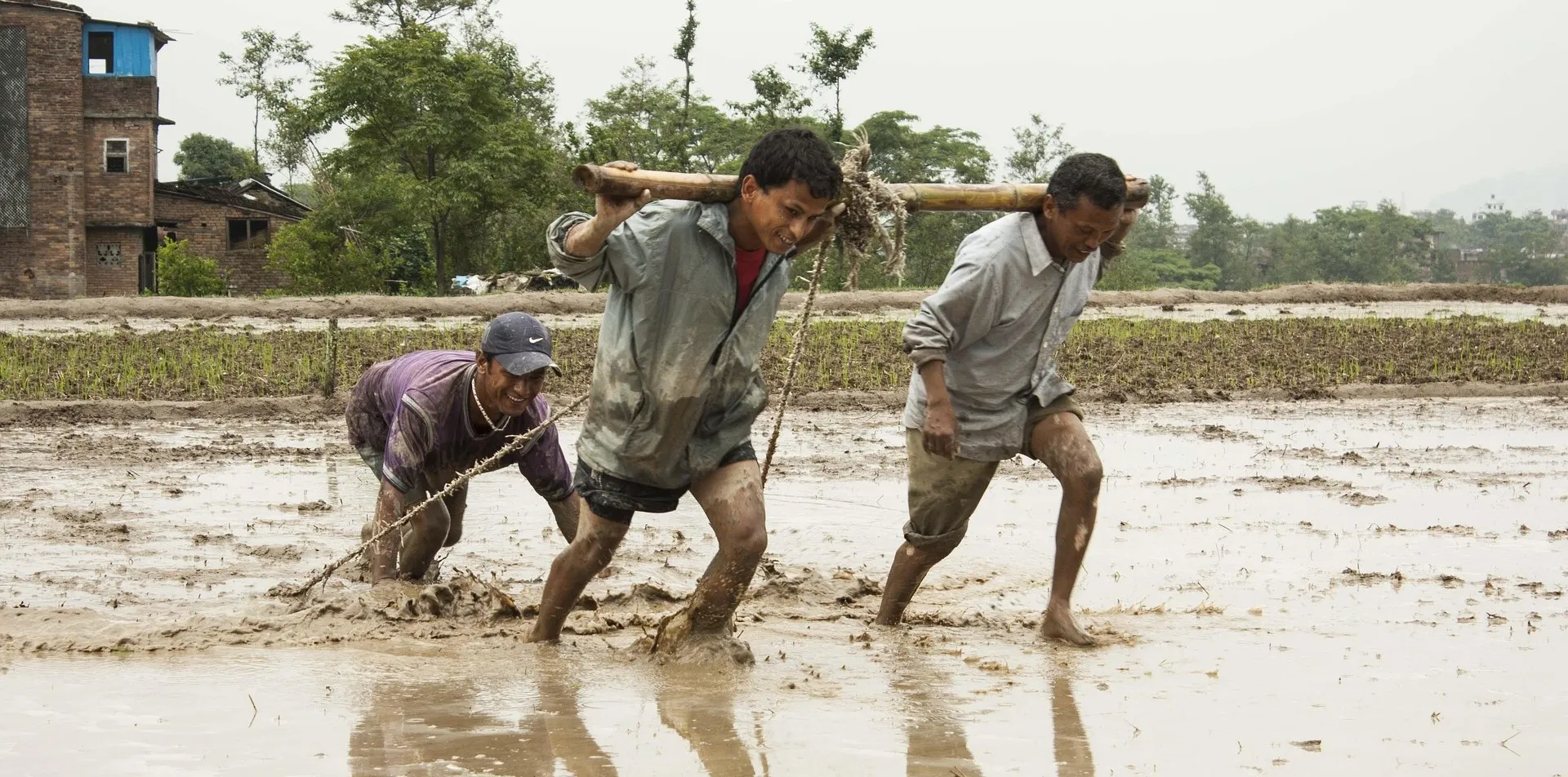 SADP Nepal photo 46