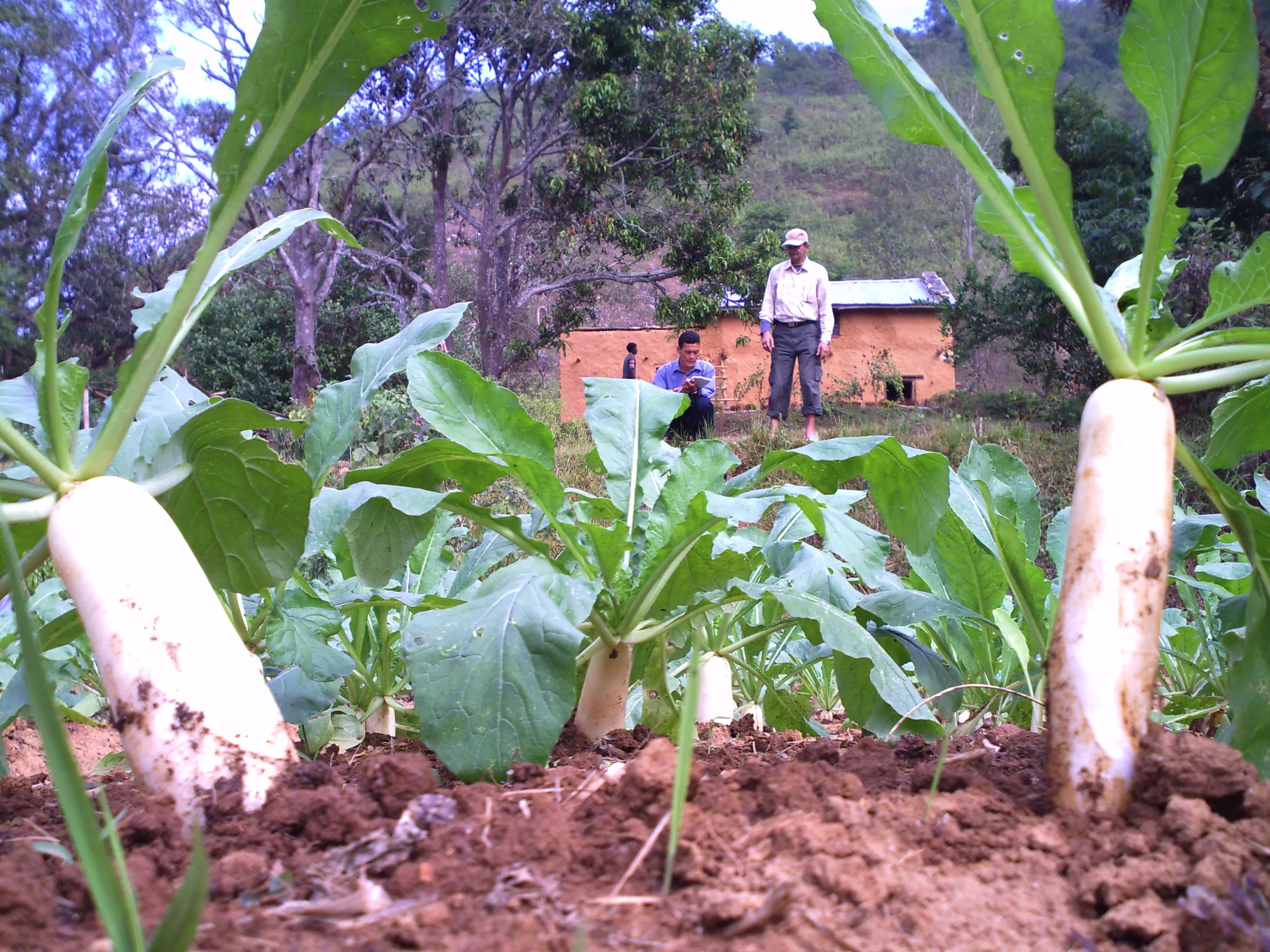 SADP Nepal photo 49