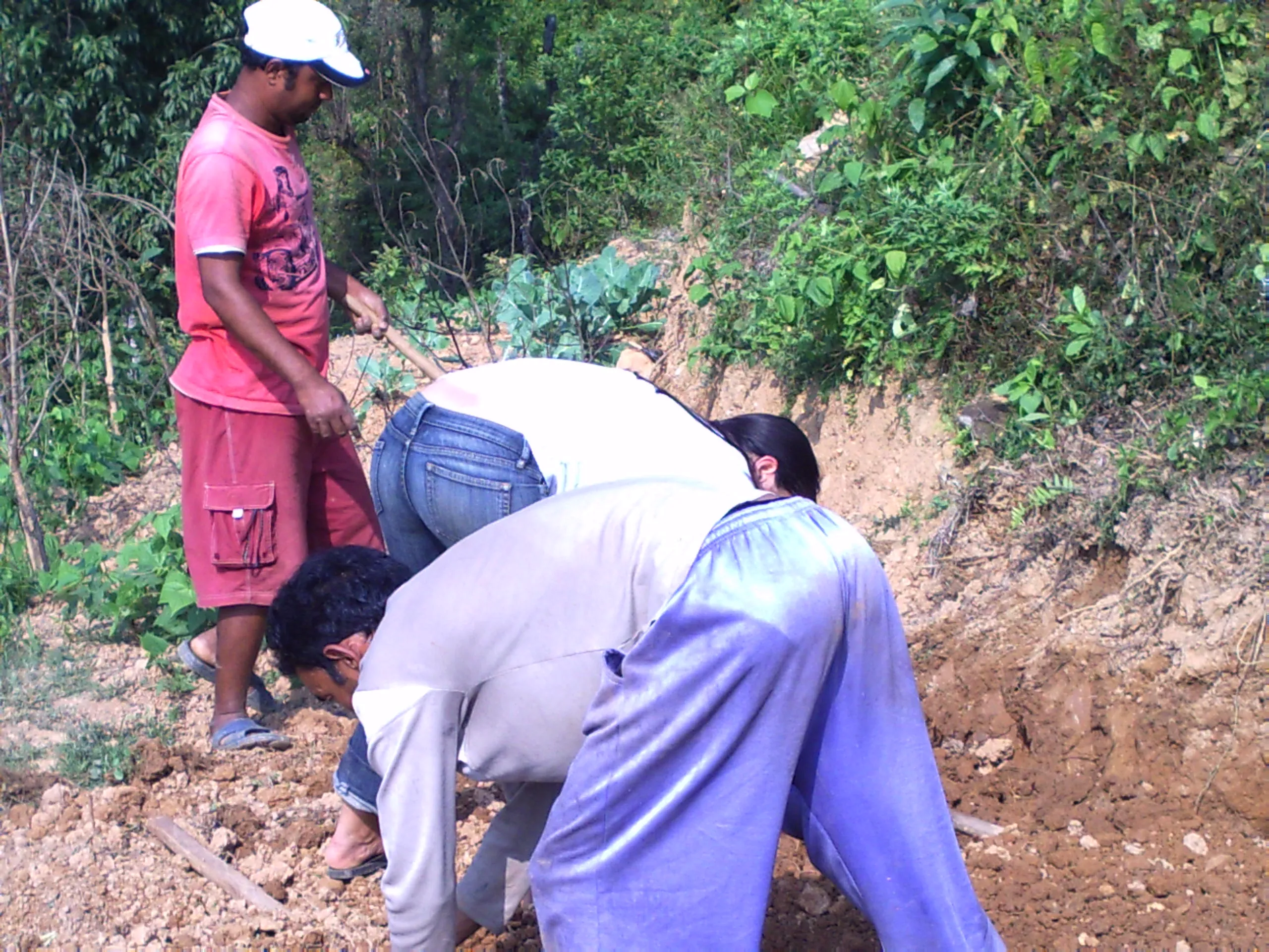 SADP Nepal photo 50