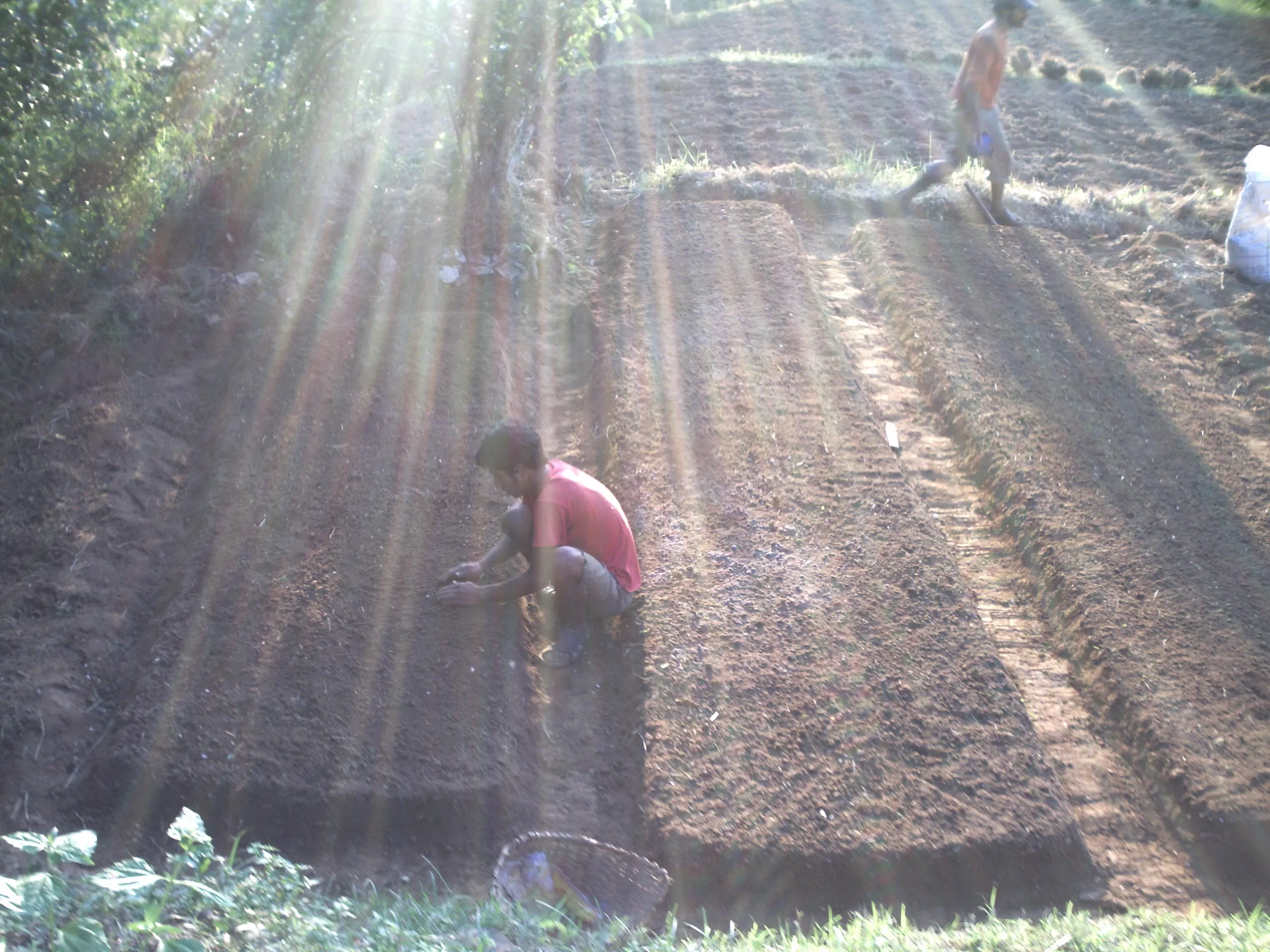 SADP Nepal photo 51