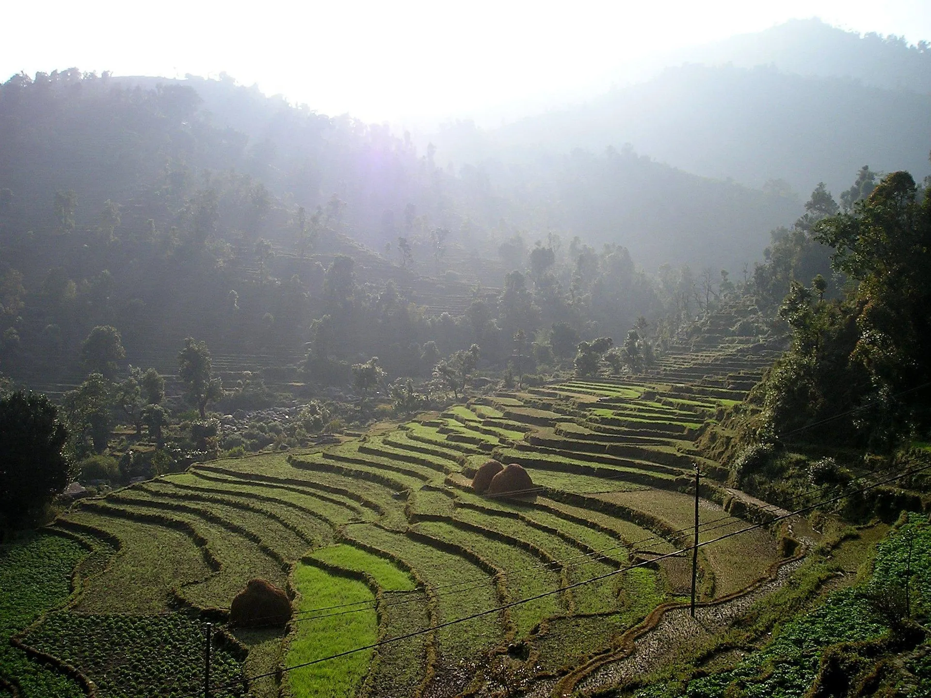 SADP Nepal photo 68